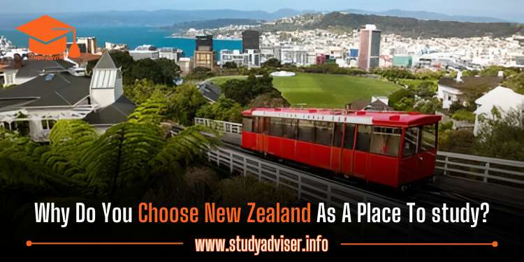 Why Do You Choose New Zealand As A Place To study?